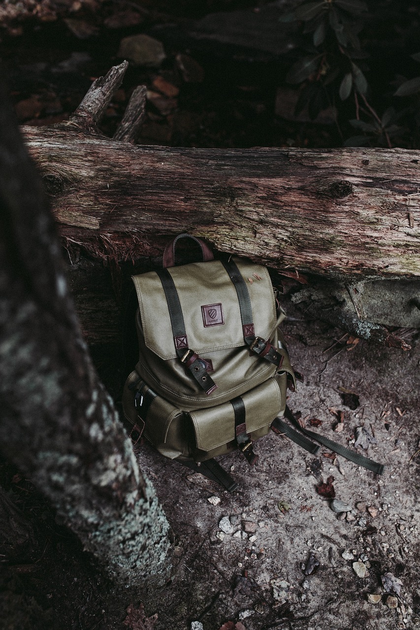 Backpack by Fallen Log in Dark Forest