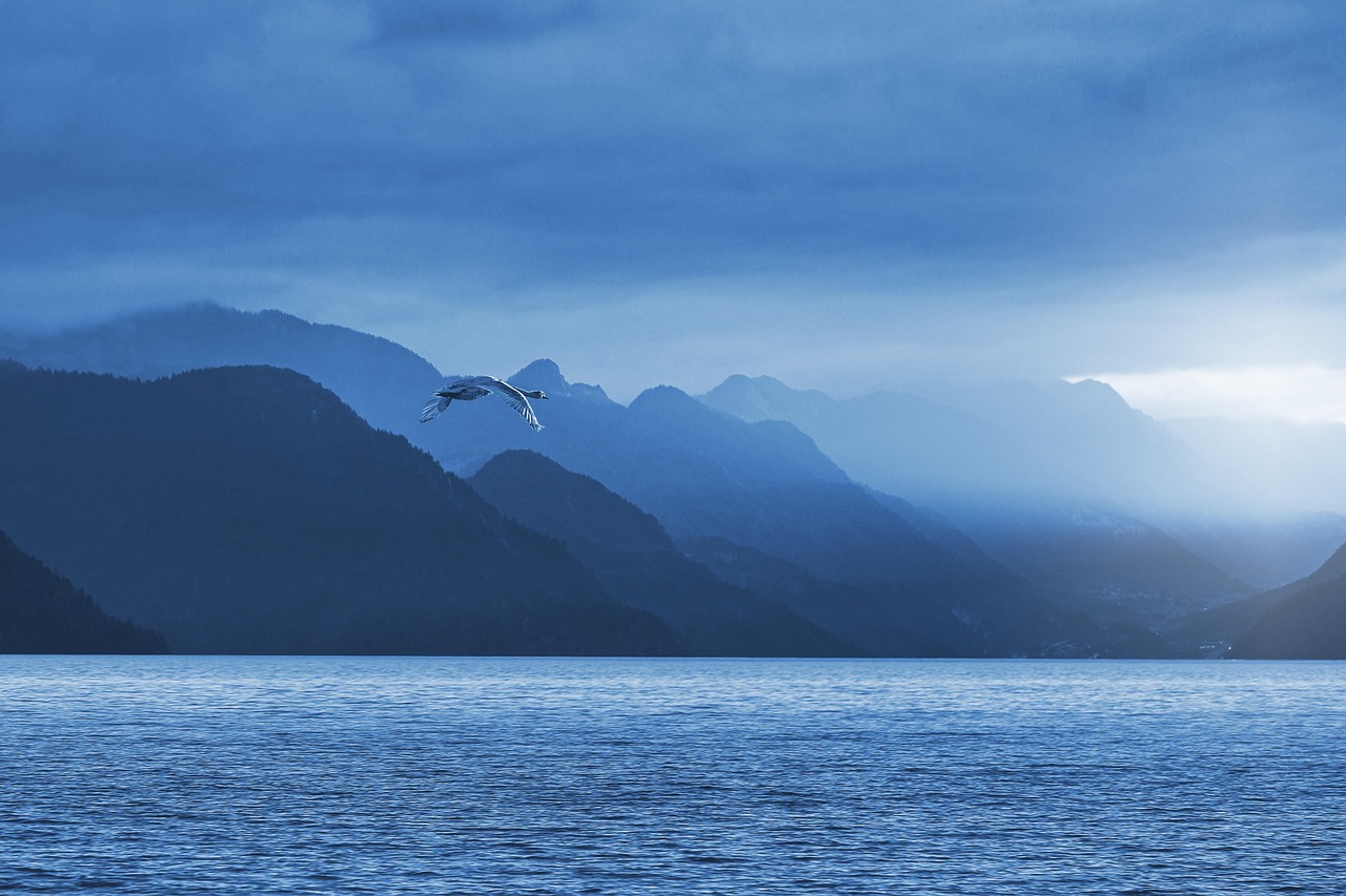 Bird Flying Over Blue Mountain Lake