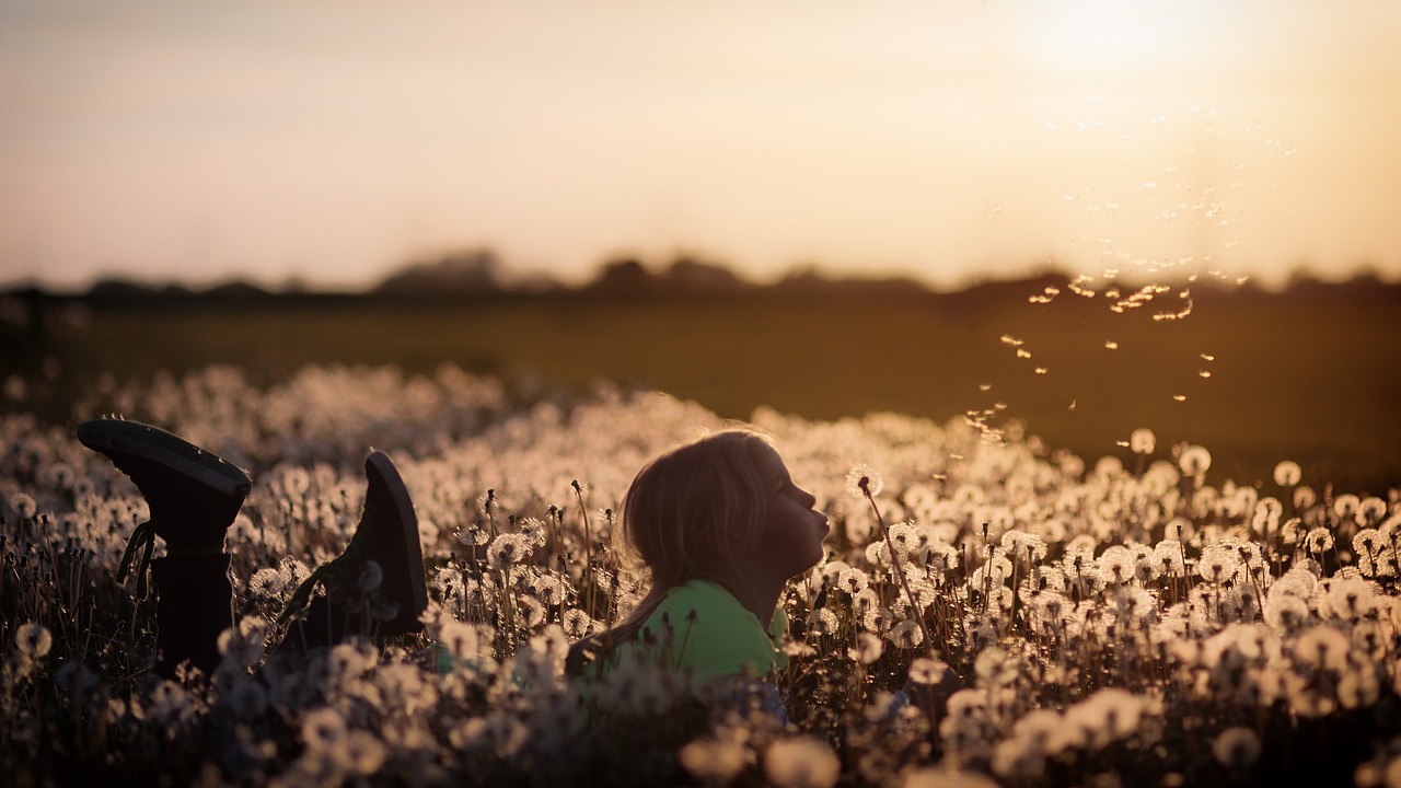Child in Dandelion Field Sunset