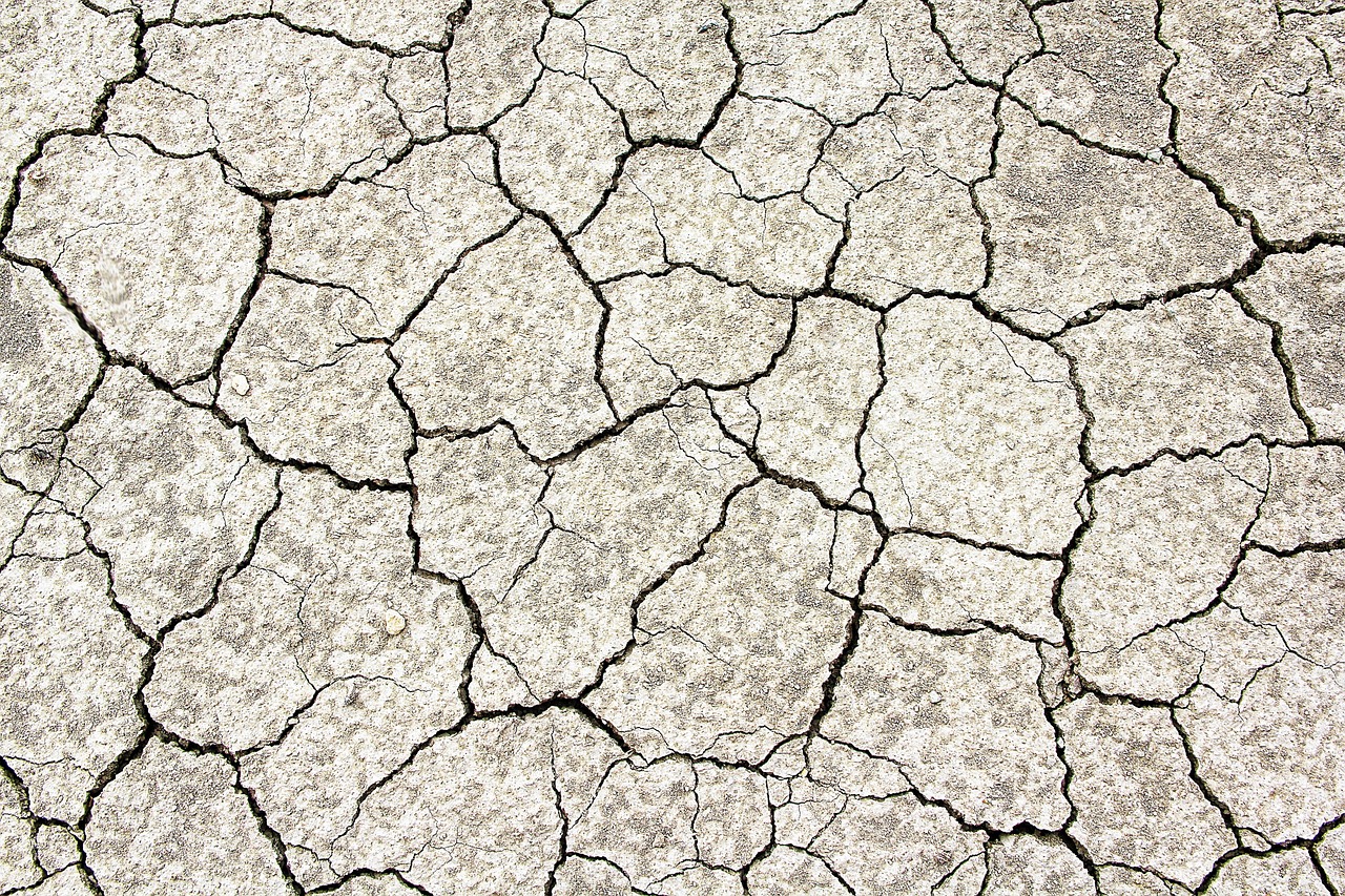 Cracked Dry Earth Texture