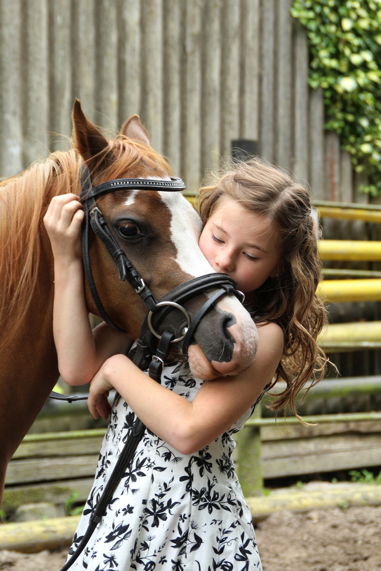 Girl Hugging Pony Portrait