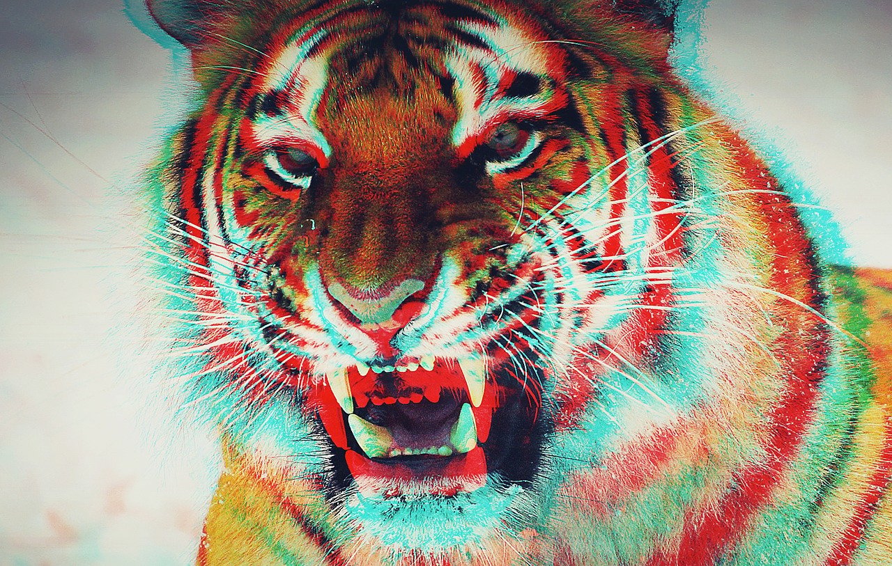 Glitch Tiger Portrait
