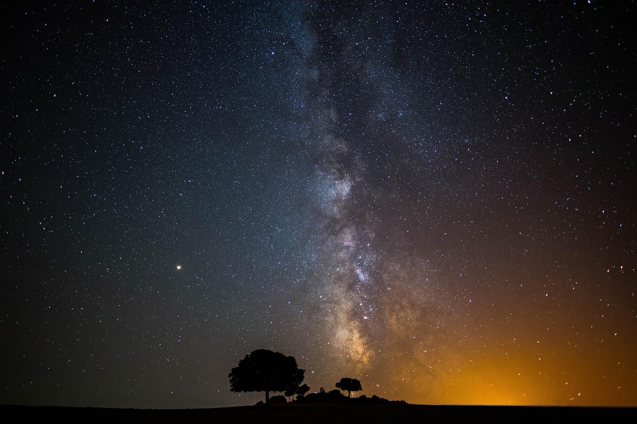 Milky Way Over Lone Tree Silhouette