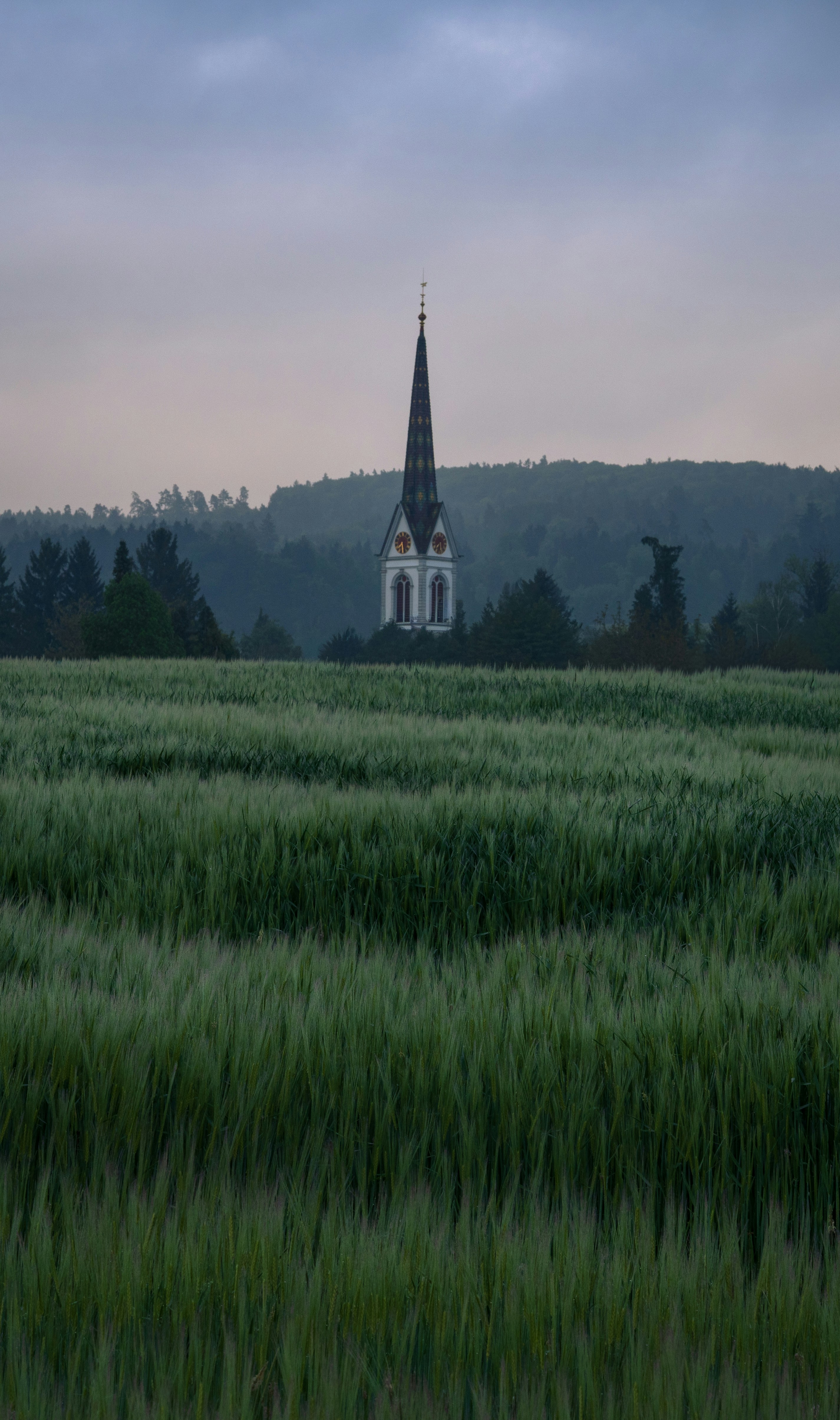 Misty Field and Distant Church Spire