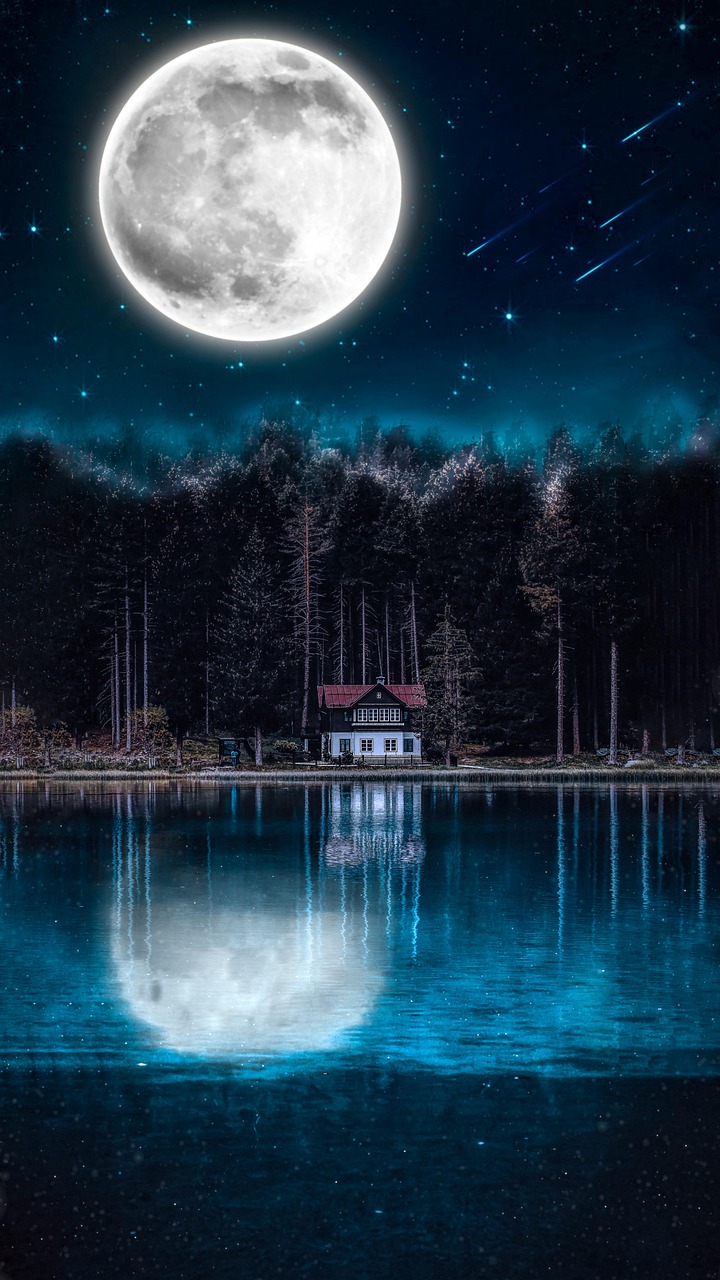 Moonlit Forest Lake Reflection