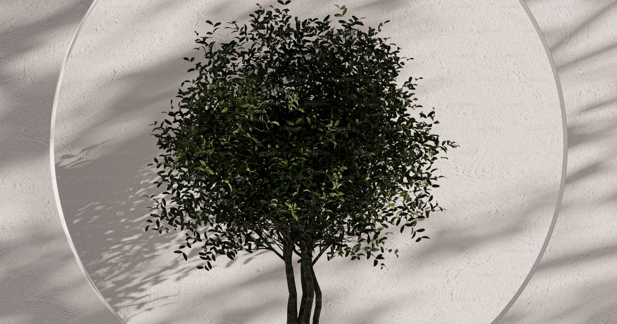 Tree Within Circular Frame