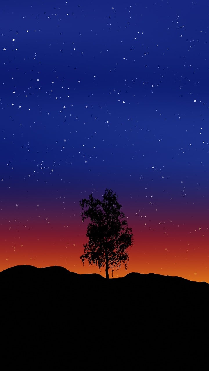 Twilight Tree Silhouette with Falling Stars